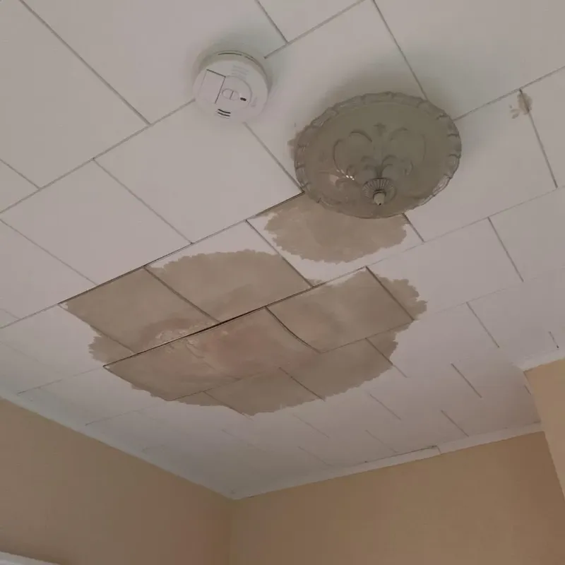 Ceiling Water Damage Repair in Kinder, LA